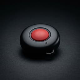 C.I.A Panic Button Service view 2